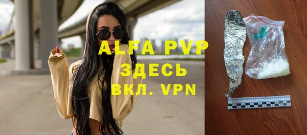 трава Коряжма
