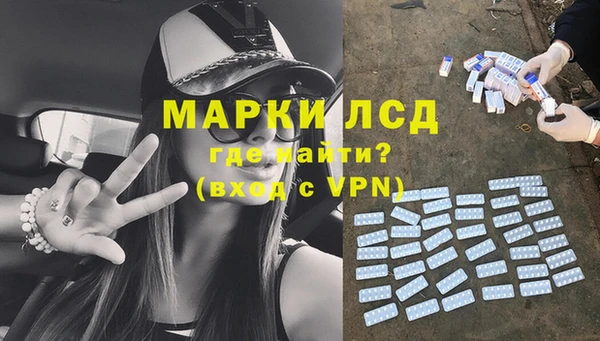 трава Коряжма