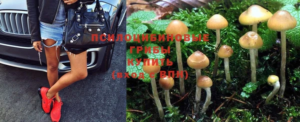 альфа пвп Красноперекопск