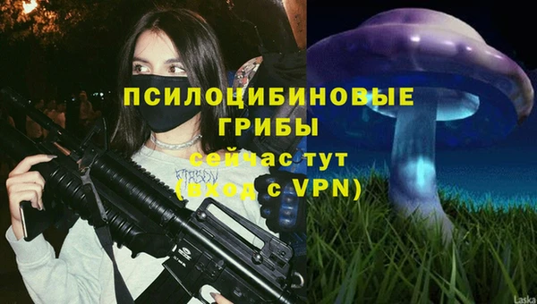круглые Краснослободск