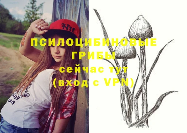 марихуана Краснотурьинск